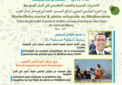 Rencontre speciale