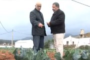 Visite d’une délégation marocaine à la vallée Guadalhorce