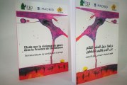 دراسة حول العنف القائم على النوع بإقليم شفشاون، تقاسم الممارسات الجيدة في مجال التحسيس