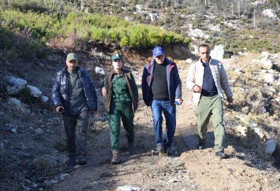 جمعية تلاسمطان تطلق عملية حفر الحفر الخاصة بغرس الشوح المغربي بغابة ماديسوكا