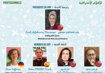 Jury Professionnels